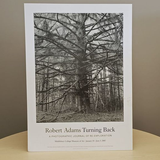 Turning Back poster