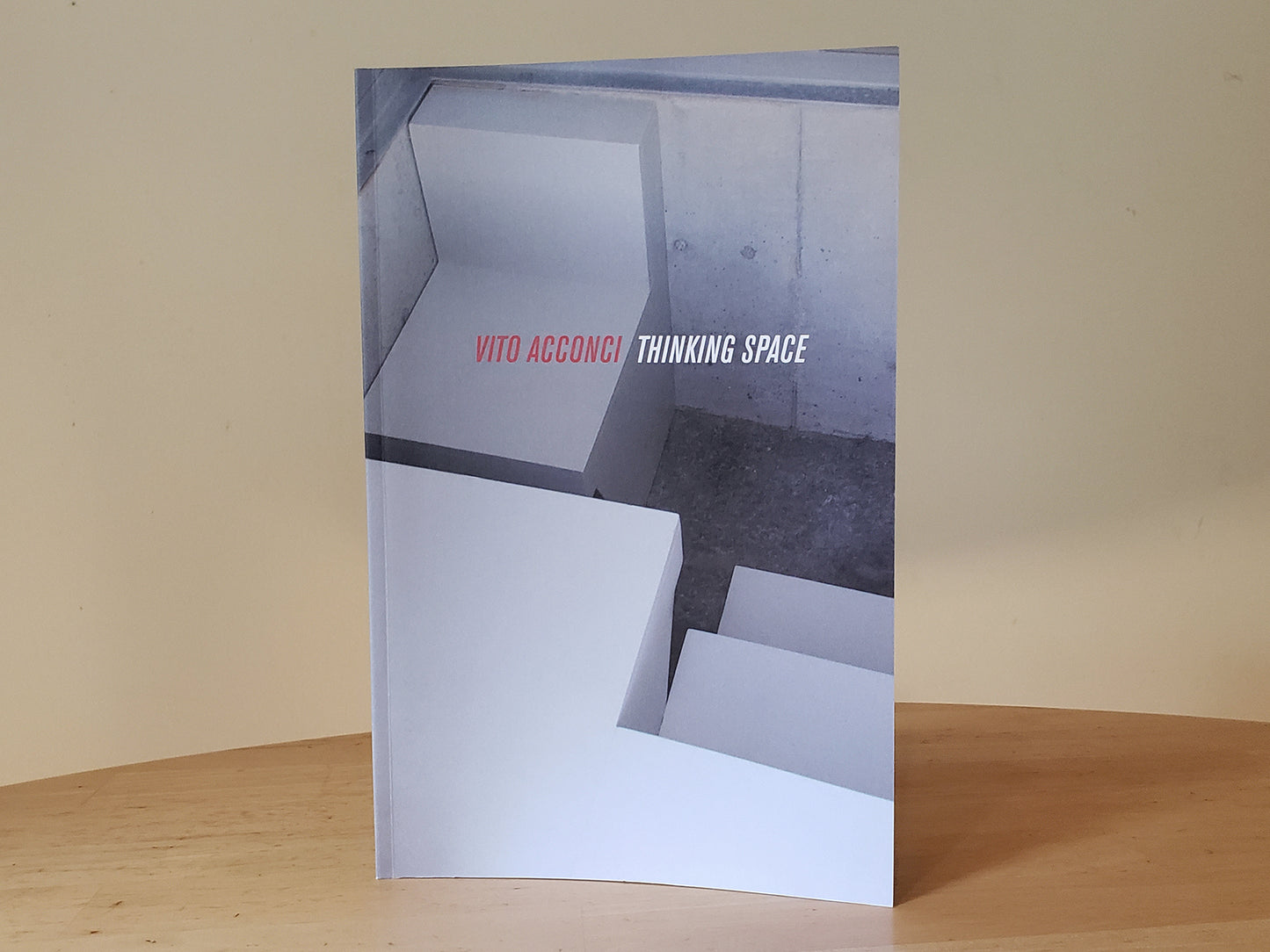 Vito Acconci Thinking Space